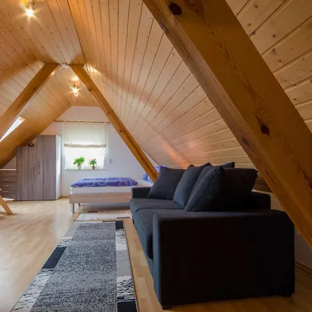 Handwerger Apartament *