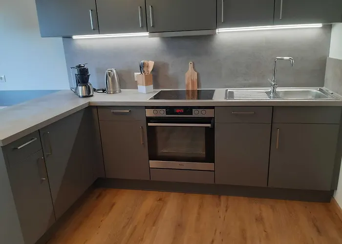 Handwerger Apartament *